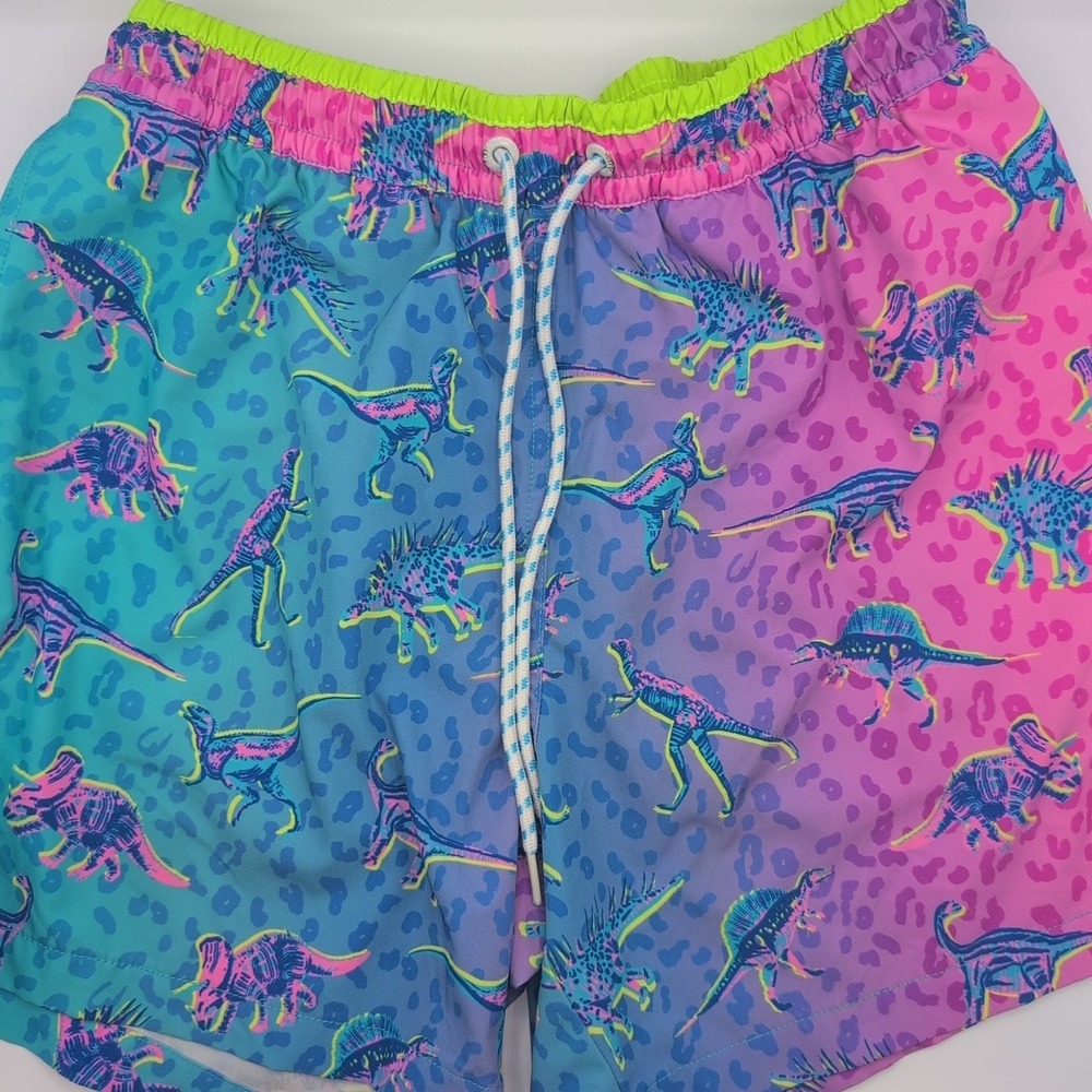 Chubbies Swim Trunks Mens Small Dinosaur Print Neon Retro 5.5" Inseam